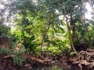 Flusstour Dominica_1