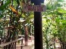 Flusstour Dominica (2)_1